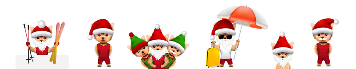 Funny Dog Santa wearing hat, beard and moustache with Elf. Christmas concept