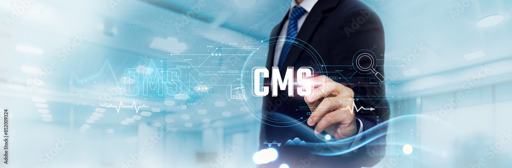 Wall mural cms business graph and data of content management system business growth, efficiency. businessman to