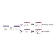 Diagram showing biosynthesis of Kynurenine from Tryptophan via enzymatic reaction - schematic molecular strcuture chemical illustration.