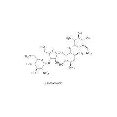 Diagram showing biosynthesis of Leukotriens from Arachidonic acid via enzymatic reaction - schematic molecular strcuture chemical illustration.