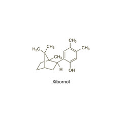 Fototapeta premium Rivastigmine&nbsp; flat skeletal molecular structure Acetylcholinesterase inhibitor drug used in Alzheimer's disease treatment. Vector illustration scientific diagram.