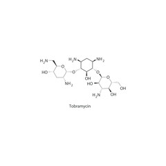 Diagram showing biosynthesis of Prostaglandins from Arachidonic acid via enzymatic reaction - schematic molecular strcuture chemical illustration.