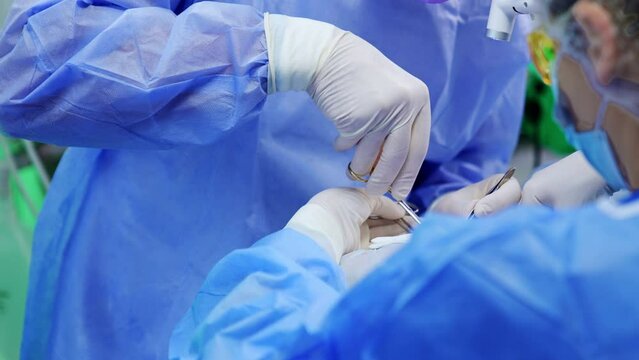 Metal instruments in the gloved hands of a surgeon. Female nurse assists holding the tools. Close up.