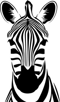 head of zebra