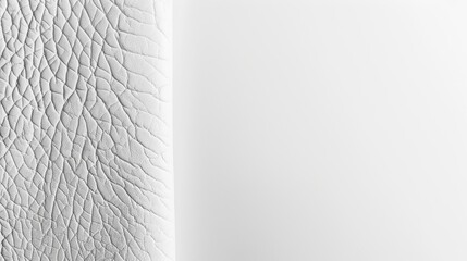 White leather texture background 