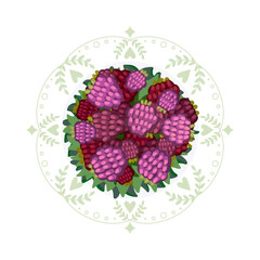 Illustration without background pink raspberry with leaves in white round plate with green symmetrical plant pattern