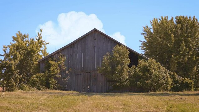 Abandoned barn in field