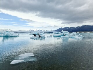 View of the icebergs floating in the water in the famous Glacier Lagoon on Iceland.