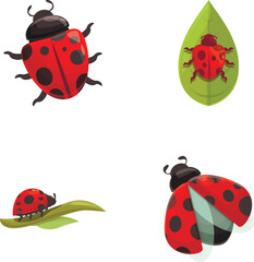 Fototapeta premium Ladybug beetle icons set cartoon vector. Cartoon bright red ladybird. Nature, insect