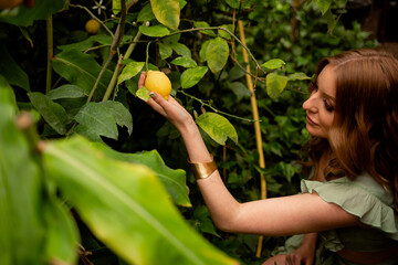 The botanist girl examines the growth of lemons in the greenhouse