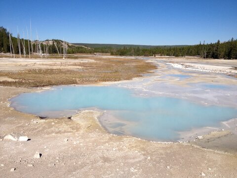 geyser in Yellowstone national park