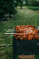 Man hand grilling barbecue with smoked pork at backyard on day. Family dinner outdoor style bbq activity