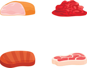 Meat icons set cartoon vector. Different type of meat product. Food concept