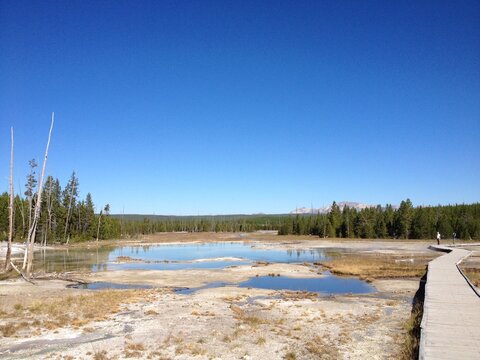 geyser in Yellowstone national park