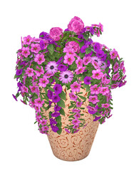 Colorful trailing potted flowers in a tall ceramic / clay pot. Image 1 of a selection of PNG 3D, illustrations