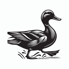 Black a duck silhouette vector illustration on white background