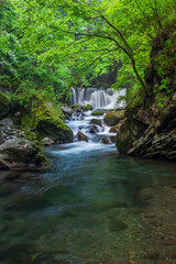 Fototapeta premium waterfall in the forest