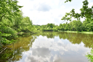 Reflection on a Lake