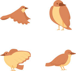 Sparrow icons set cartoon vector. Cute cheerful brown sparrow. Little bird