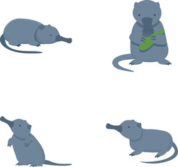 Wild desman icons set cartoon vector. Mammal of mole family. Wildlife animal