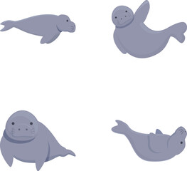 Adorable and playful cartoon seal illustrations collection for nursery and children's themes, featuring cute grey seals in various poses and actions, perfect for underwater and marine life designs