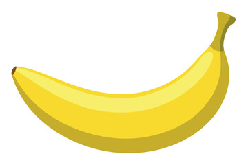 Banana Vectors and color Illustration