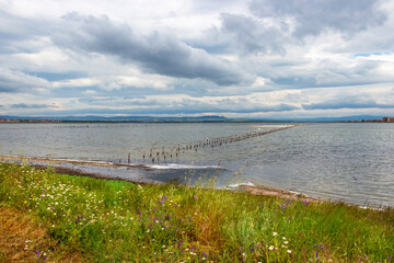 Scenic view of the Lake Pomorie, Burgas Province, Bulgarian Black Sea coast with birds under cloudy May sky 