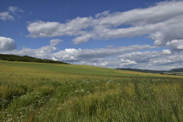 Landschaft und Natur-Feeling in der Nähe von Alfeld