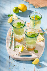 Fototapeta premium Cold lemonade with mint leaves and citrus and.