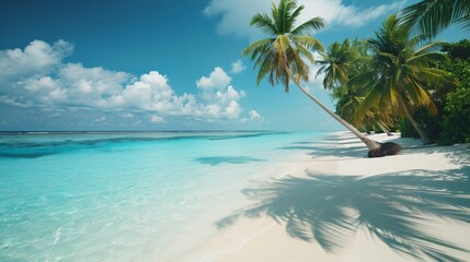 Fototapeta premium Tropical Paradise Beach Scene