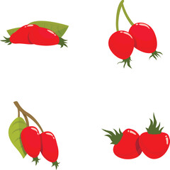Vector set of various stylized red berries with leaves isolated on white background