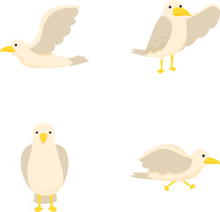 Collection of four cute animated seagull characters in various poses on a white background