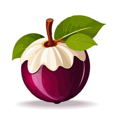 Fresh Mangosteen in cartoon style. Tropical fruit collection design for interior, poster, banner. Thai fruit illustration isolated on a white background. 