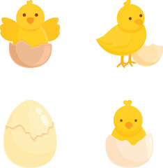 Adorable and cheerful cartoon chick collection featuring a variety of cute baby chickens hatching from eggs. In a simple and childlike illustration vector design. Spring. Easter