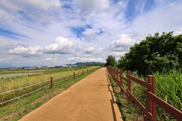 농촌 들판의 여름 풍경, 파란 하늘과 하얀 구름, 창원 주남저수지