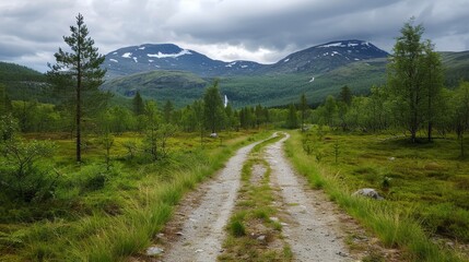 Scenic dirt road leading through a lush green valley with mountains in the background under a cloudy sky.