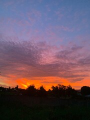 sunset over the field