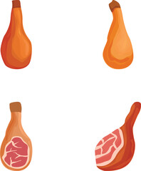 Collection of four cartoon butternut squash illustrations, including whole and crosssection views