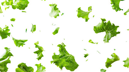 Flying lettuce on a transparent background