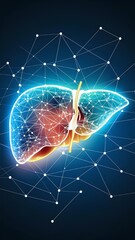 Liver background with networks in a vector art 