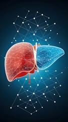 3d rendered illustration of liver in a vector art