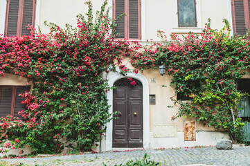 Doorway covered in bougevvilla