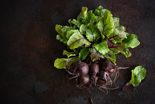 Bunch of radishes