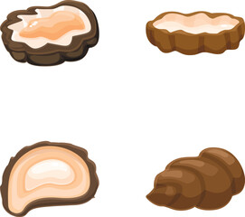 Set of four illustrated seafood delicacies, including oysters and clams, isolated on white
