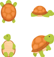 Collection of cute cartoon turtle illustrations in various poses and expressions, perfect for children's educational books and environmental themed designs