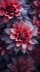 Obraz premium a close up of a bunch of red flowers