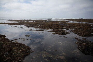 Tide pools at Pillar Point, Half Moon Bay, California