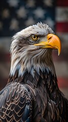 Bald Eagle with USA Flag in the background