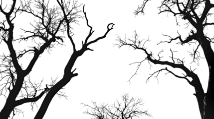Trees without leaves on a transparent background