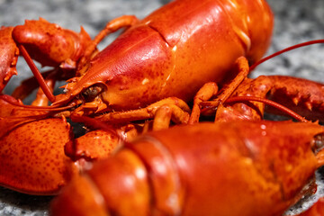 Fully Cooked Lobster